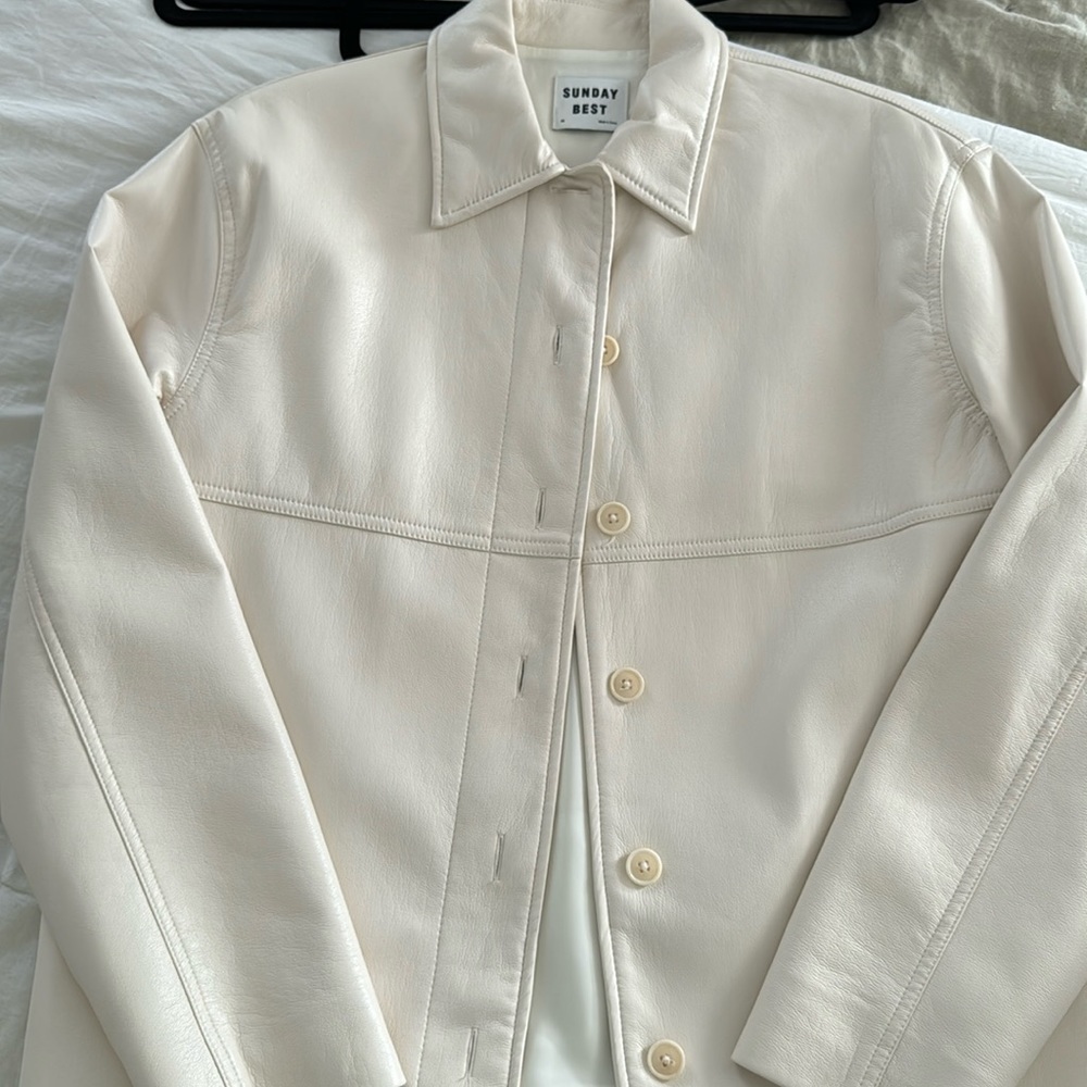 Aritzia leather topcoat